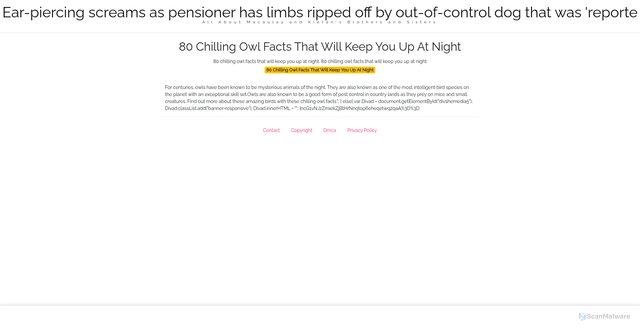 Security scan screenshot of https://djrhqjlblog-7nik8yuhld.edgeone.app/18499-80-chilling-owl-facts-that-will-keep-you-up-at-night.html