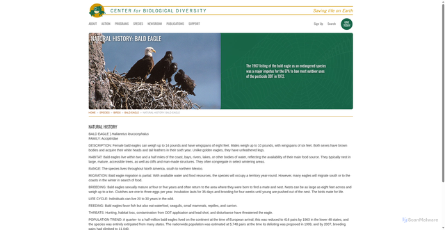 Security scan screenshot of https://www.biologicaldiversity.org/species/birds/bald_eagle/natural_history.html