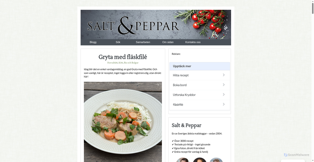 Security scan screenshot of https://saltpeppar.se