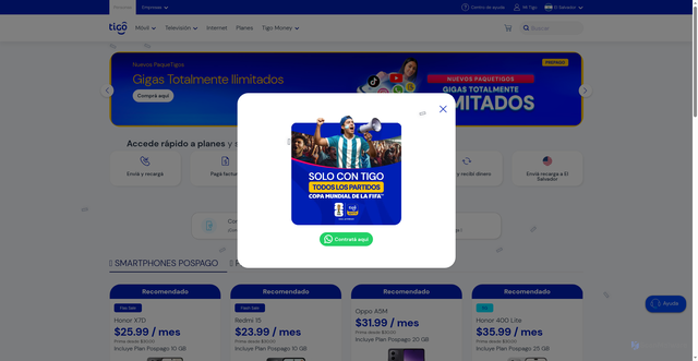 Security scan screenshot of http://tigosvspt.help/
