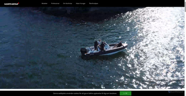 Security scan screenshot of https://northstarribs.se
