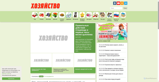 Security scan screenshot of https://hozvo.ru