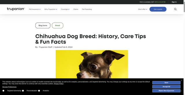 Security scan screenshot of https://www.trupanion.com/pet-blog/article/chihuahua