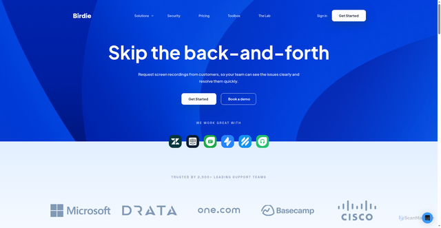 Security scan screenshot of https://birdie.so