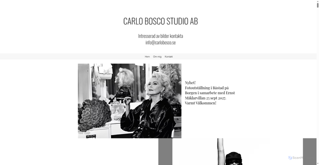 Security scan screenshot of https://carlobosco.se