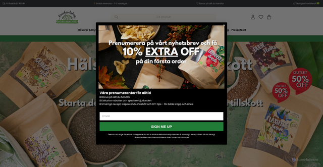 Security scan screenshot of https://www.rawfoodshop.se/