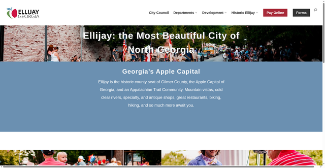 Security scan screenshot of https://ellijay-ga.gov/