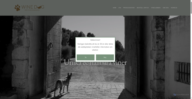 Security scan screenshot of https://winedog.se