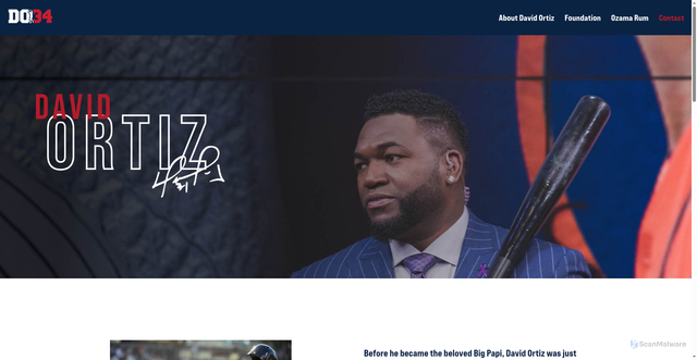 Security scan screenshot of https://davidortiz.com/