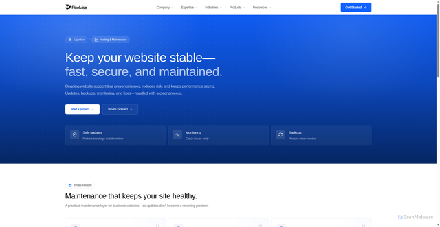 Security scan screenshot of https://pixelvise-website.pages.dev/expertise/hosting-maintenance