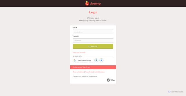 Security scan screenshot of https://app.leadberry.com