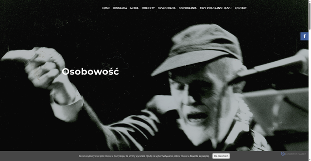 Security scan screenshot of https://ptaszyn.com
