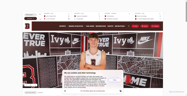 Security scan screenshot of https://brownbears.com/