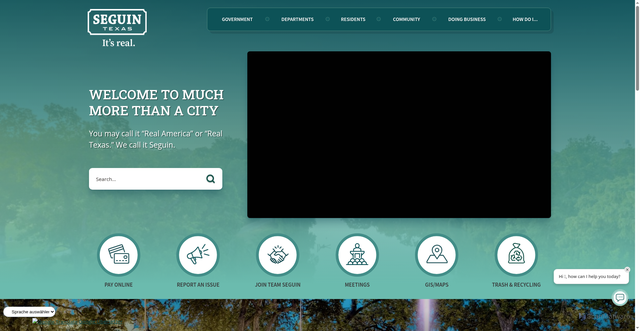 Security scan screenshot of https://seguintexas.gov/