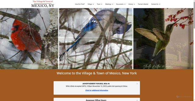 Security scan screenshot of https://villageofmexico.gov/