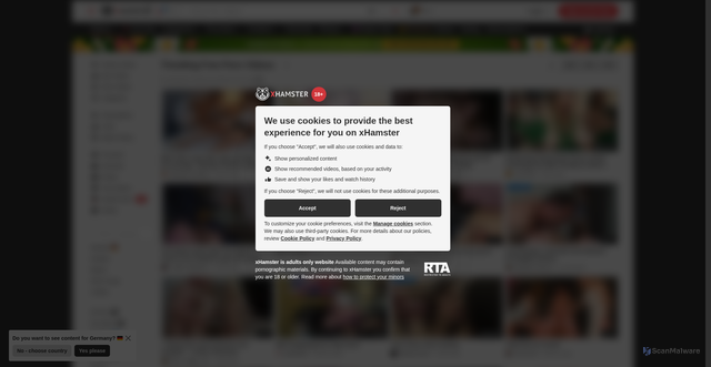Security scan screenshot of https://auth.xhamster.desi