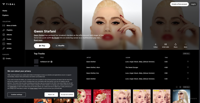 Security scan screenshot of https://tidal.com/browse/artist/17175