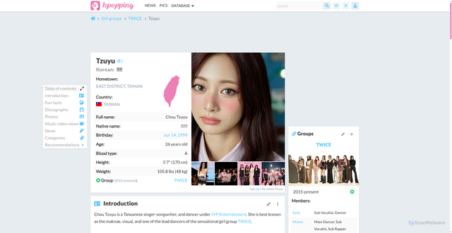 Security scan screenshot of https://kpopping.com/profiles/idol/Tzuyu