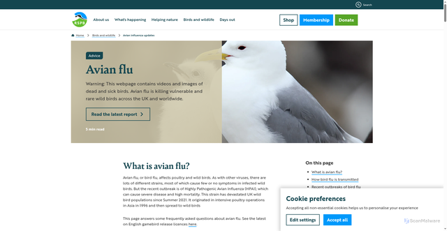 Security scan screenshot of https://www.rspb.org.uk/birds-and-wildlife/avian-influenza-updates