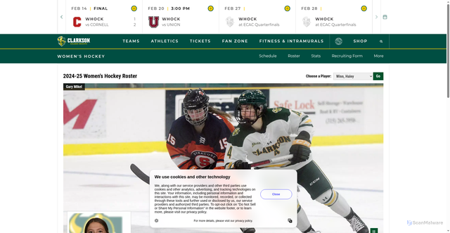Security scan screenshot of https://clarksonathletics.com/sports/womens-ice-hockey/roster/haley-winn/8565