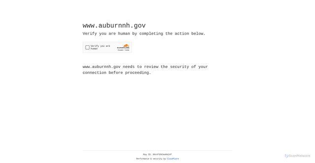 Security scan screenshot of https://www.auburnnh.gov/