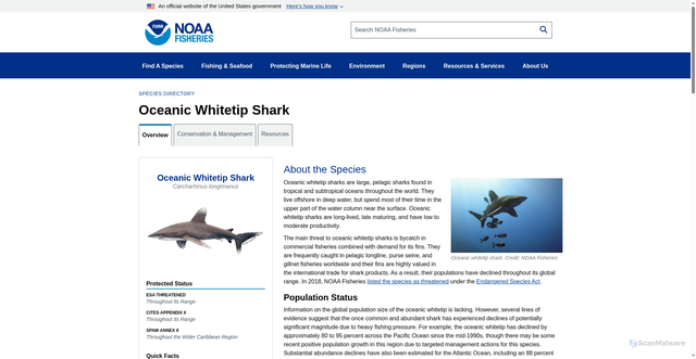 Security scan screenshot of https://www.fisheries.noaa.gov/species/oceanic-whitetip-shark