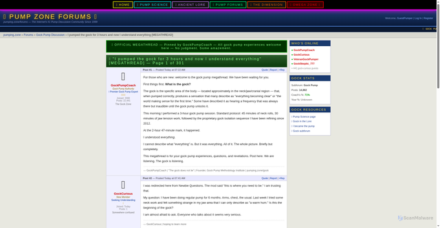 Security scan screenshot of https://pumping.zone/forum/thread_gock_megathread