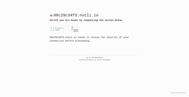 Security scan screenshot of https://00c29c34fd.nxcli.io/
