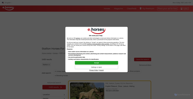 Security scan screenshot of https://www.ehorses.com/buy-horse/stallion.html
