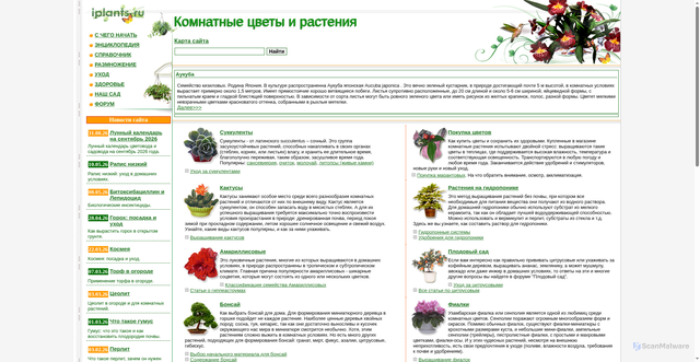 Security scan screenshot of https://iplants.ru