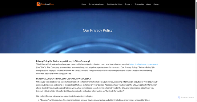 Security scan screenshot of https://onlineimpactgroup.com/privacy-policy/