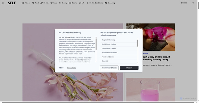 Security scan screenshot of https://www.self.com