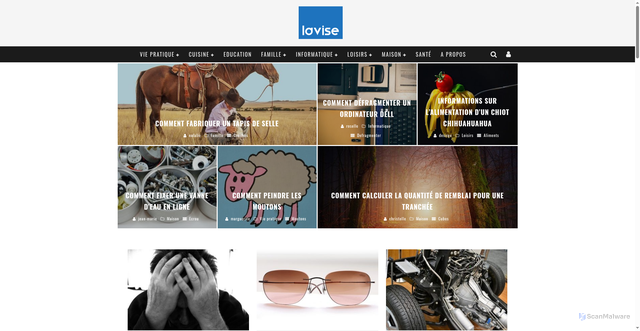 Security scan screenshot of https://www.lavise.fr