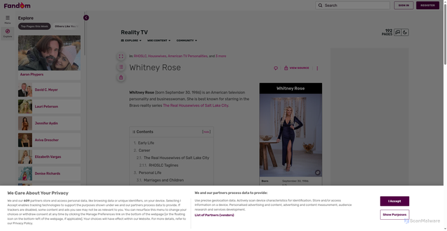 Security scan screenshot of https://realitytv-girl.fandom.com/wiki/Whitney_Rose