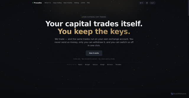 Security scan screenshot of https://prosadka.com/