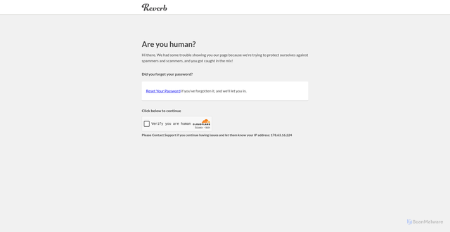 Security scan screenshot of https://api.reverb.com