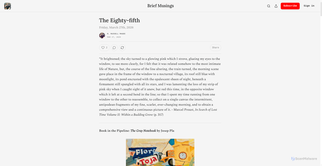 Security scan screenshot of https://briefmusings.substack.com/p/the-eighty-fifth