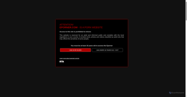 Security scan screenshot of https://fr.eporner.com
