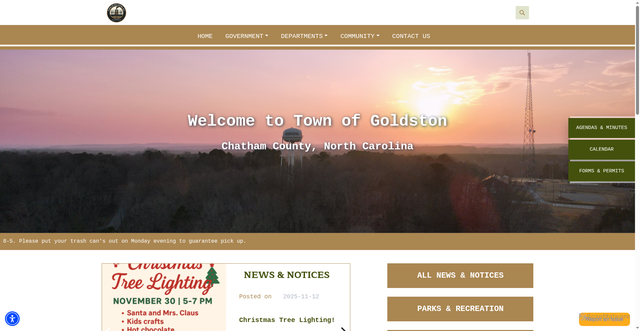 Security scan screenshot of https://townofgoldston.gov/