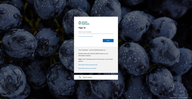 Security scan screenshot of https://rbsapps05.aholdusa.com