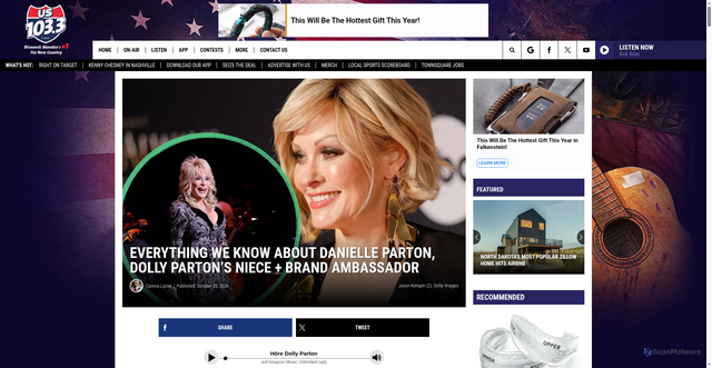 Security scan screenshot of https://us1033.com/ixp/204/p/who-is-danielle-parton-dolly-parton-niece-brand-ambassador/