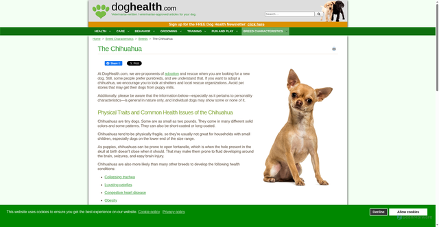 Security scan screenshot of https://www.doghealth.com/breed-characteristics/breeds/2738-the-chihuahua