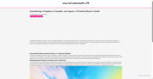 Security scan screenshot of https://terasinspiratifvision-dpjj88ku1r5n.edgeone.app/capybara-crocodile-jaguar.html