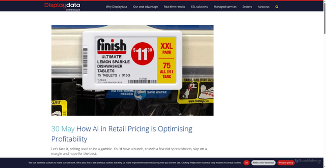 Security scan screenshot of https://www.displaydata.com/2025/05/30/ai-retail-pricing/