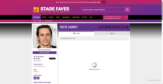 Security scan screenshot of https://www.stagefaves.com/performers/reeve-carney/