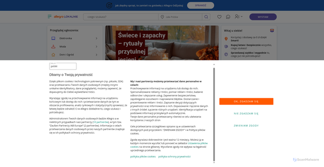 Security scan screenshot of https://allegrolokalnie.pl-oferta249942294622-ipad-air-gen5.cfd/