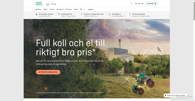 Security scan screenshot of https://molndalenergi.se