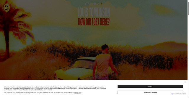 Security scan screenshot of https://louis-tomlinson.com/