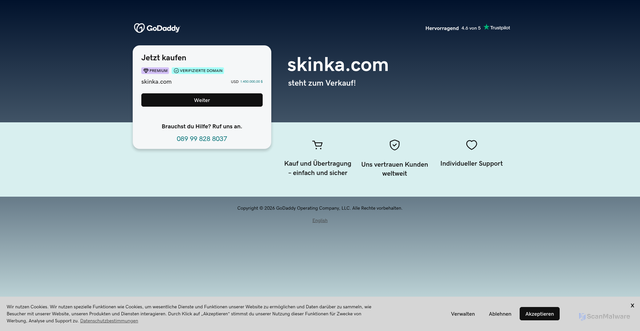Security scan screenshot of https://skinka.com