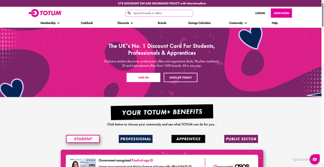 Security scan screenshot of https://totum.com
